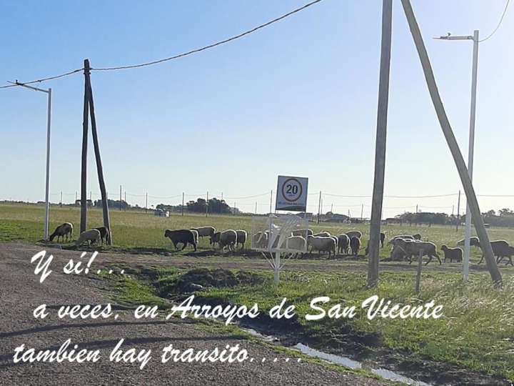 Terreno en venta en Partido de San Vicente, Buenos Aires