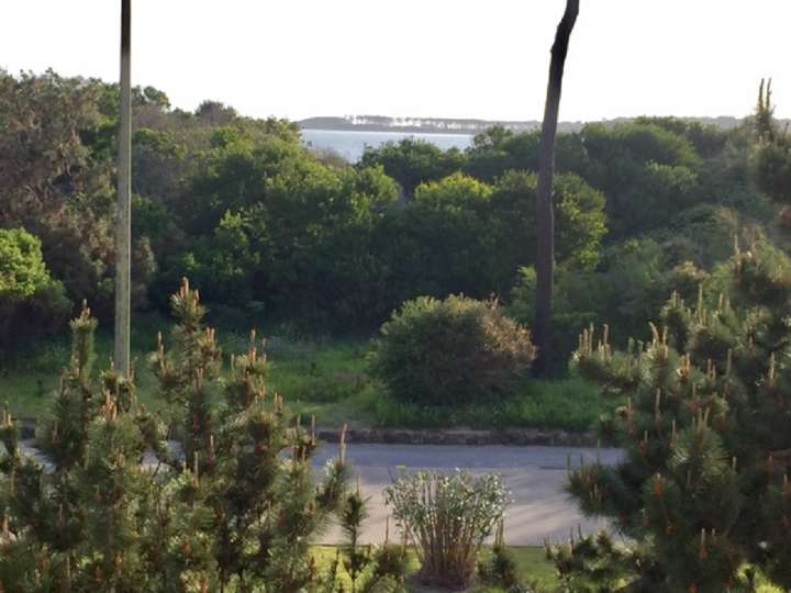 Apartamento en venta en Rambla Doctor Claudio Williman, Punta Del Este