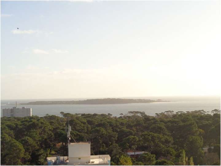 Apartamento en venta en Maldonado