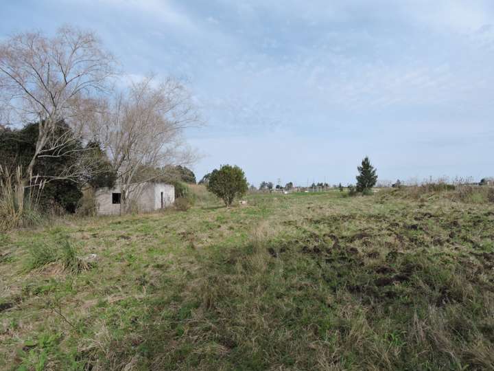 Granja en venta en Camino Luis Eduardo Pérez, Montevideo