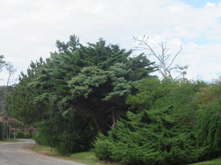 Terreno en venta en Pablo Neruda, San Rafael - El Placer