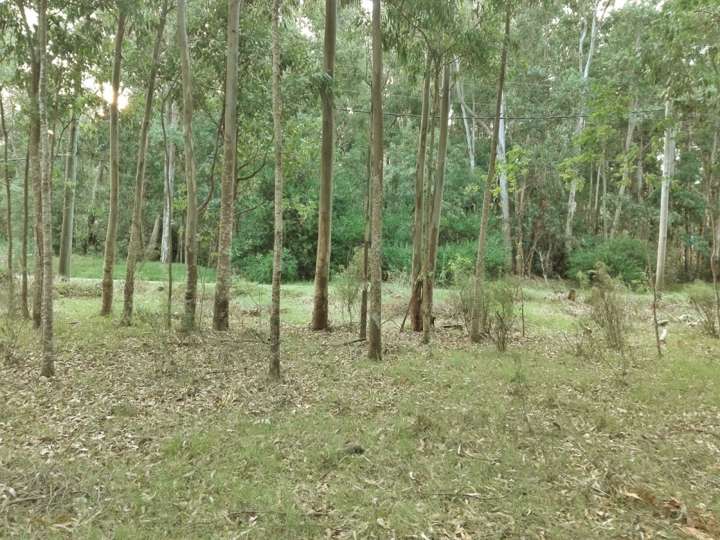 Terreno en venta en Maldonado