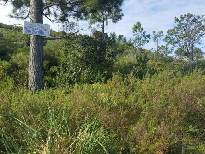 Terreno en venta en Piriápolis