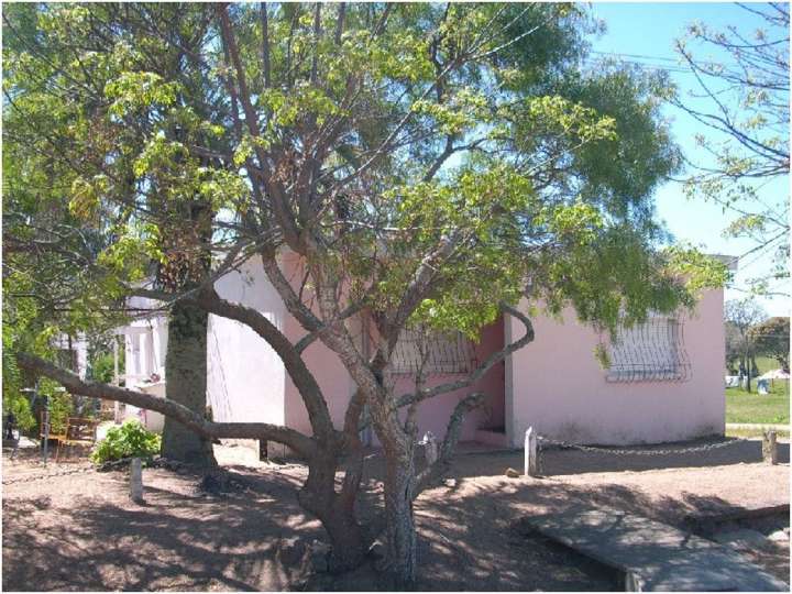 Casa en venta en Maldonado