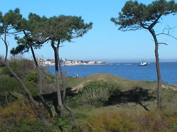 Apartamento en venta en Punta Del Este