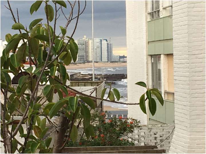 Apartamento en venta en Maldonado