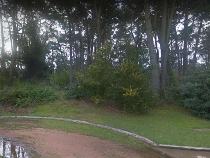 Terreno en venta en De Las Calendulas, San Rafael - El Placer