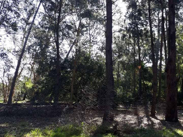Terreno en venta en Golondrinas, Maldonado