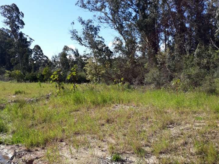 Terreno en venta en Federico García Lorca, San Rafael - El Placer