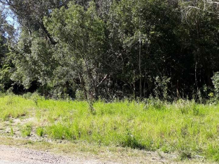 Terreno en venta en Federico García Lorca, San Rafael - El Placer