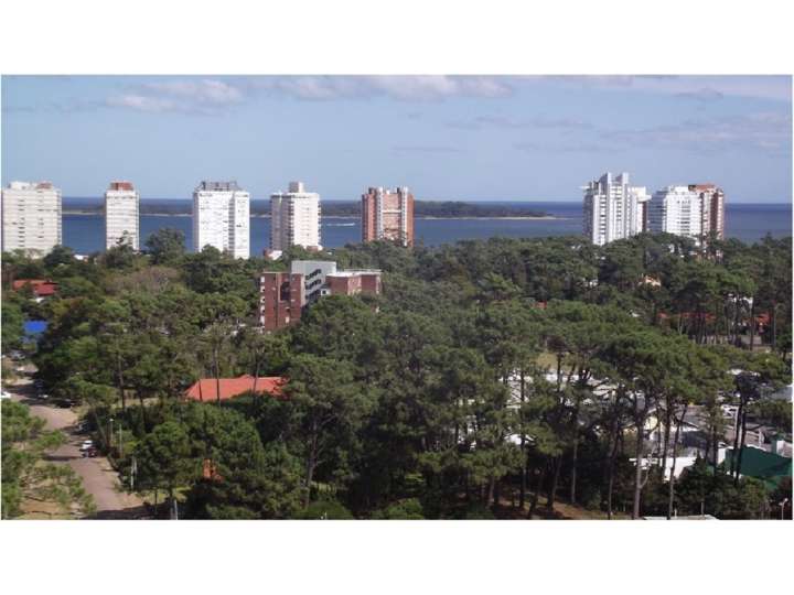 Apartamento en venta en Punta Del Este