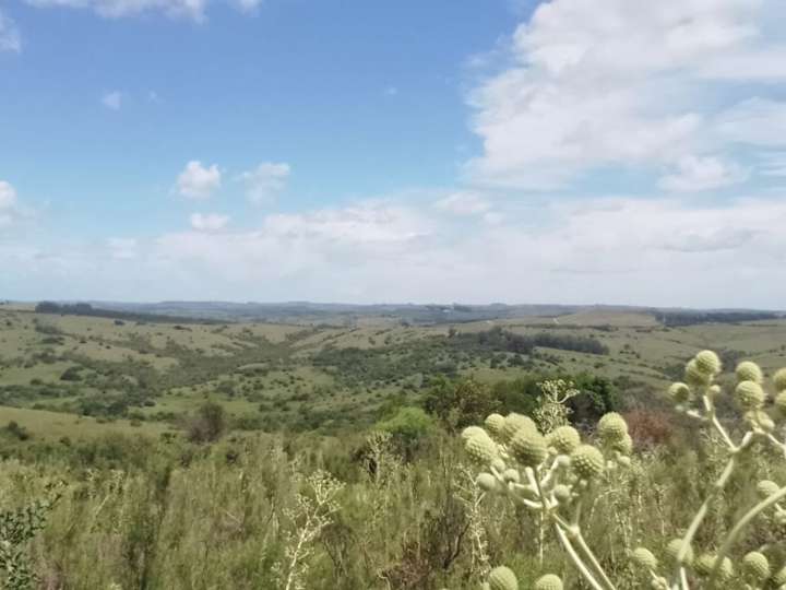 Granja en venta en Maldonado