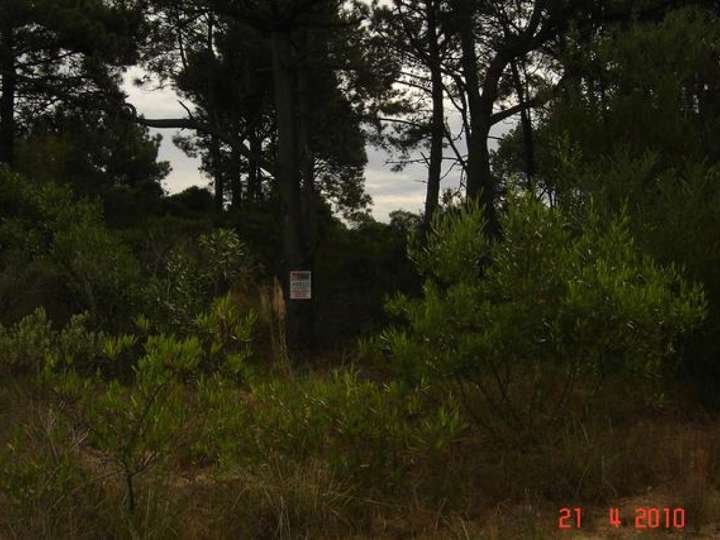 Terreno en venta en Maldonado