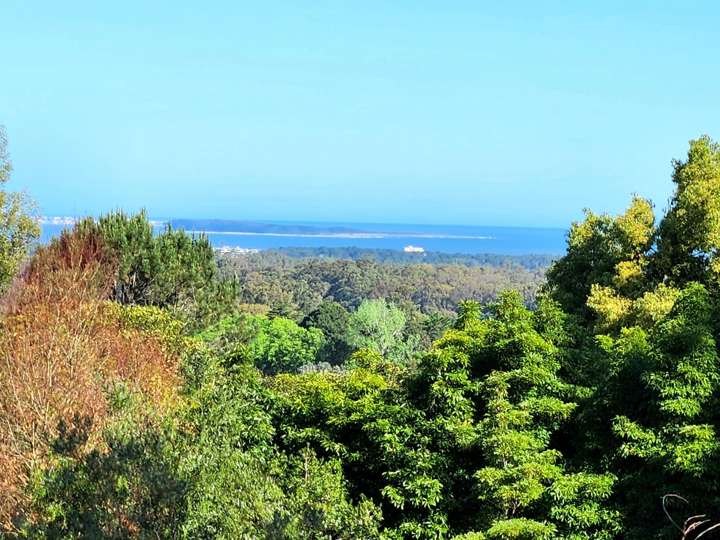 Terreno en venta en Camino de los Camalotes, Maldonado