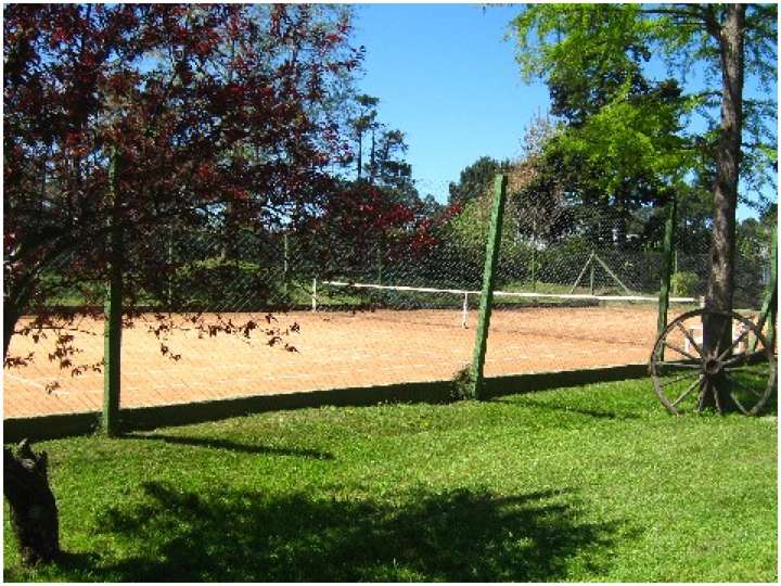 Apartamento en venta en Maldonado