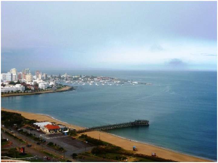 Apartamento en venta en Punta Del Este