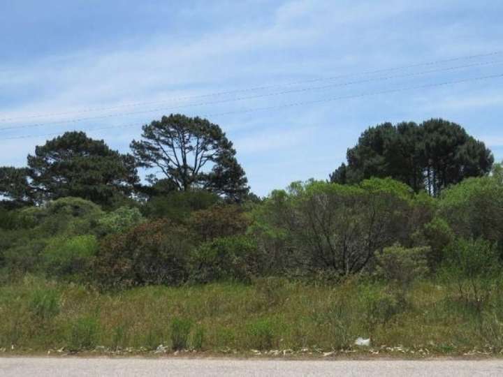 Terreno en venta en Avenida Las Amarras, Maldonado