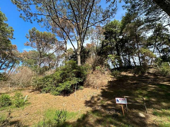 Terreno en venta en Laguna del Sauce, Maldonado