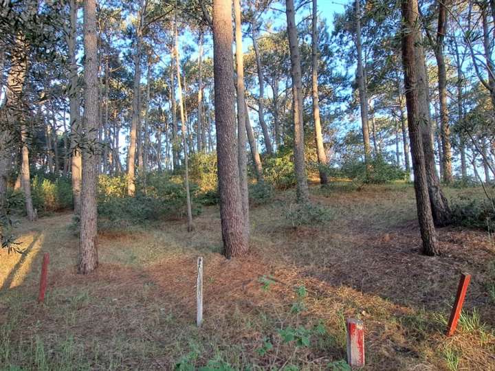 Terreno en venta en Laguna del Diario, Maldonado