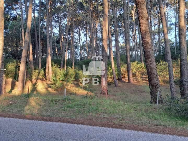 Terreno en venta en Laguna del Diario, Maldonado