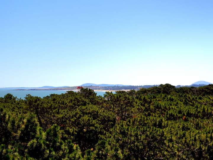 Apartamento en venta en Punta Del Este