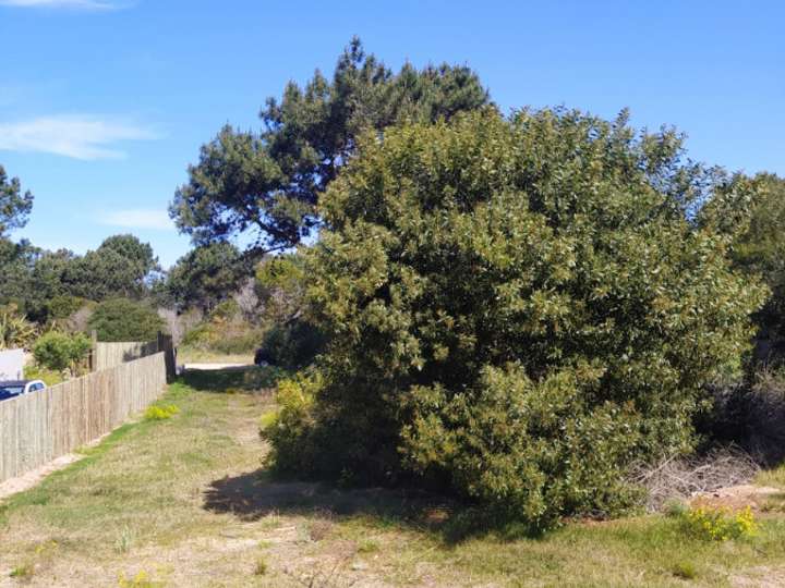 Terreno en venta en Maldonado