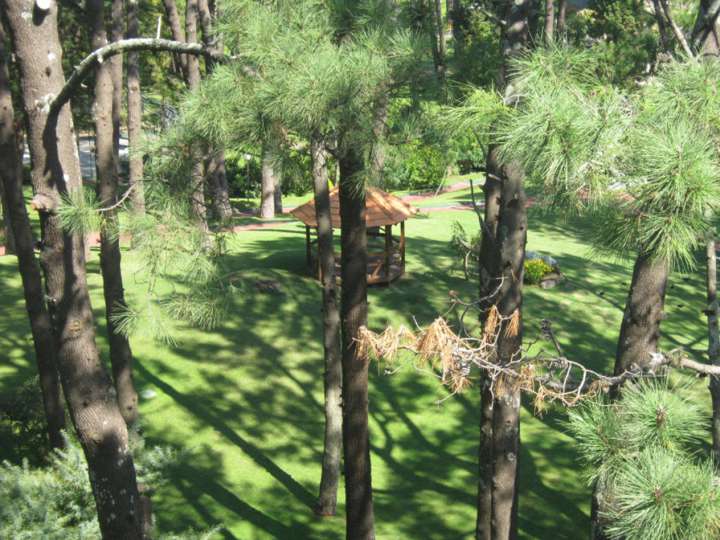 Apartamento en venta en Punta Del Este