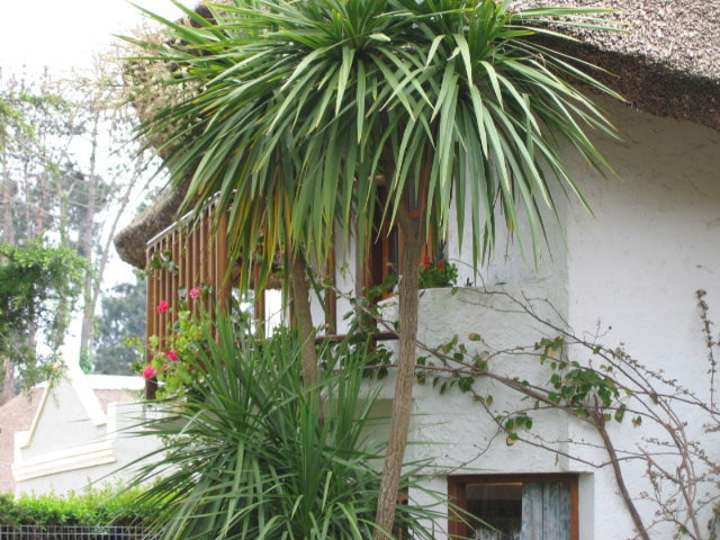 Casa en venta en Punta Del Este