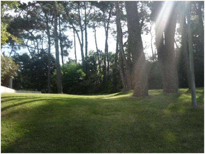 Terreno en venta en Punta Del Este