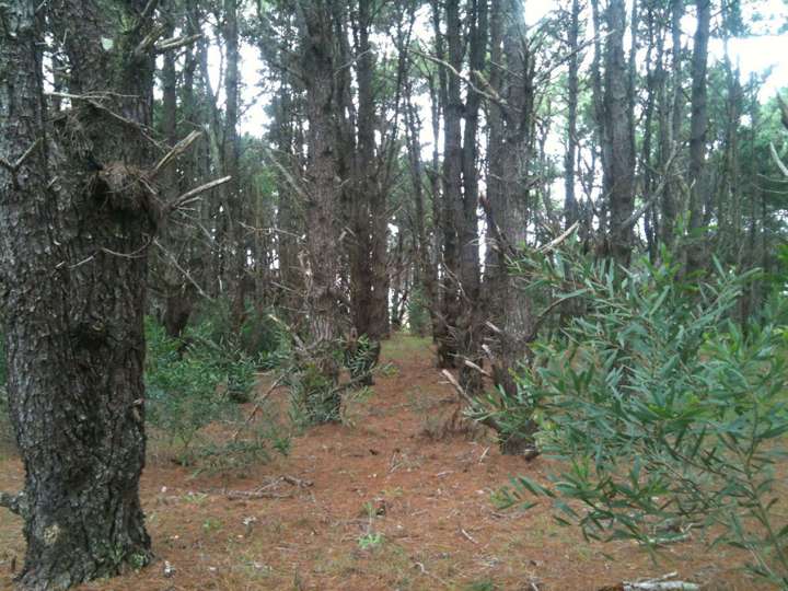 Terreno en venta en Maldonado