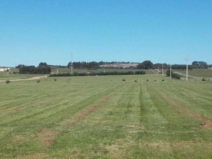 Terreno en venta en Maldonado