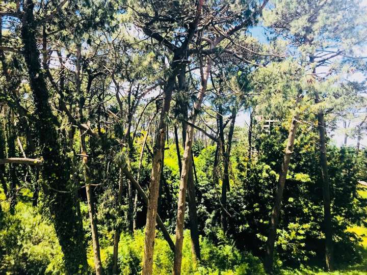 Apartamento en venta en Maldonado