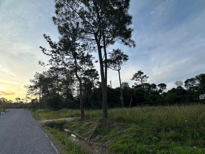 Terreno en venta en Avenida Copacabana, Maldonado