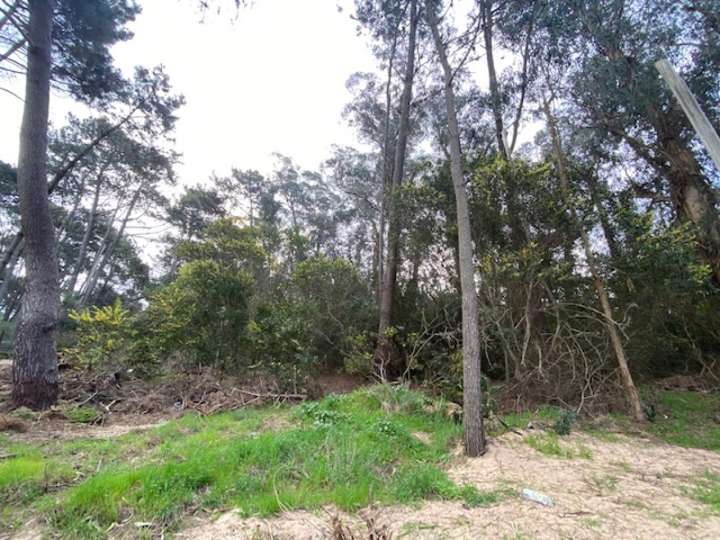 Terreno en venta en Juan Les Pins, Maldonado