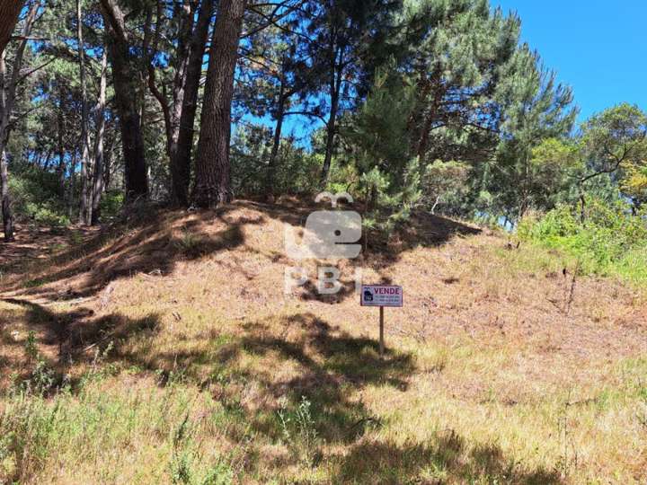 Terreno en venta en Laguna de Rocha, Maldonado