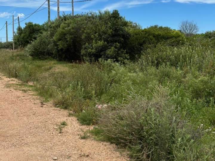 Terreno en venta en Buenos Aires