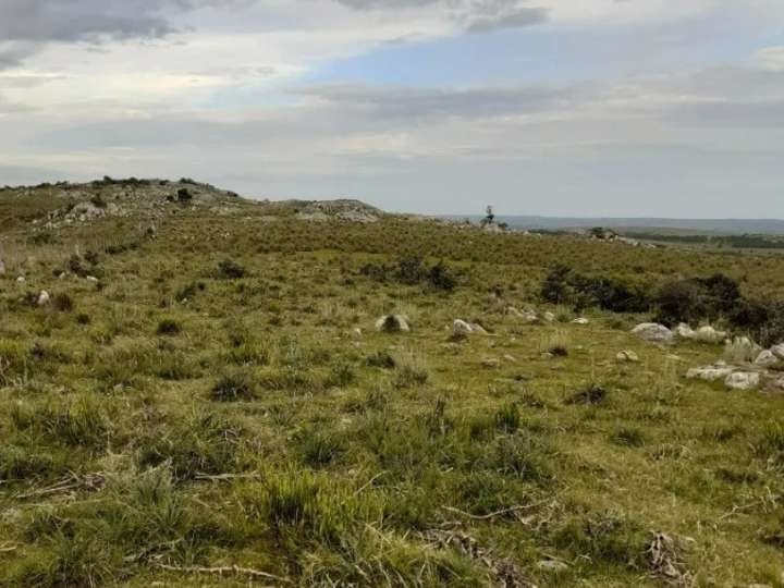 Granja en venta en Vecinal Escuela Numero 63, Maldonado