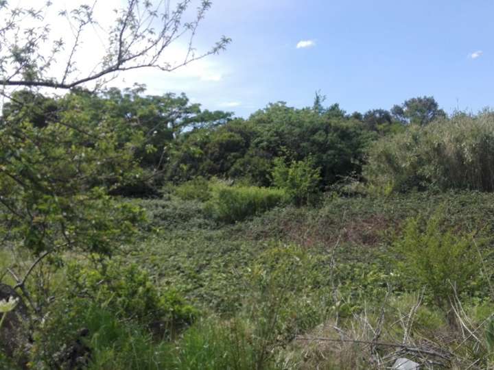 Casa en venta en Camino al Paso del Andaluz, Montevideo