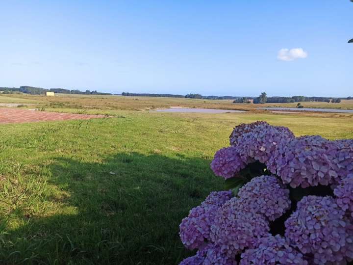 Granja en venta en Rambla General Artigas, Punta Del Este