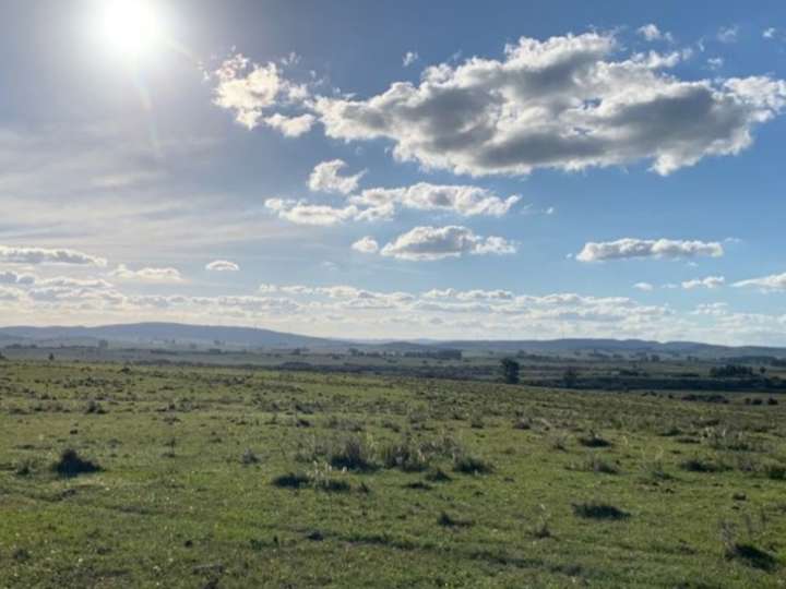 Granja en venta en Vecinal Escuela Numero 63, Maldonado