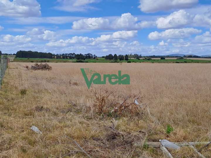 Granja en venta en Maldonado