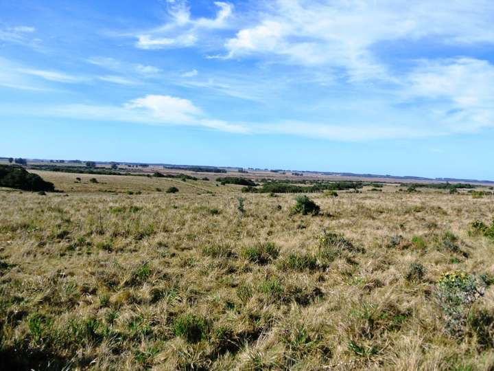 Granja en venta en Maldonado