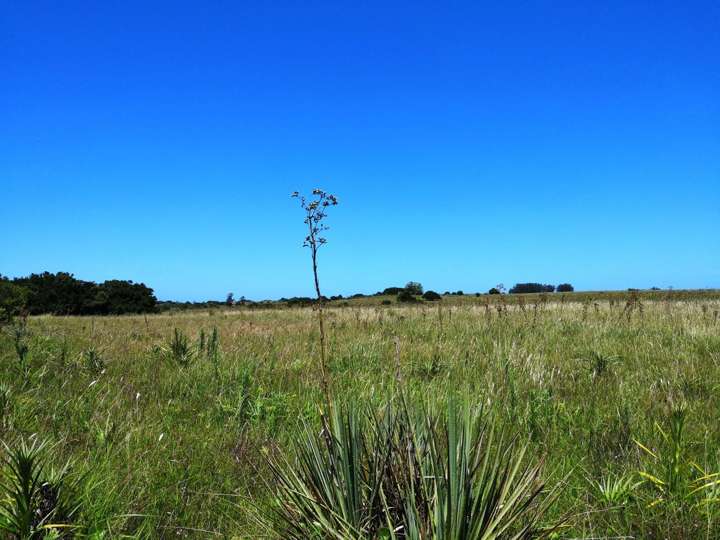 Granja en venta en Maldonado