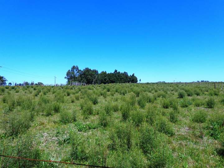 Granja en venta en Maldonado