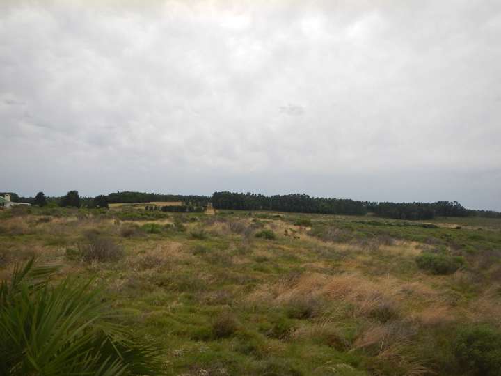 Granja en venta en La Barra