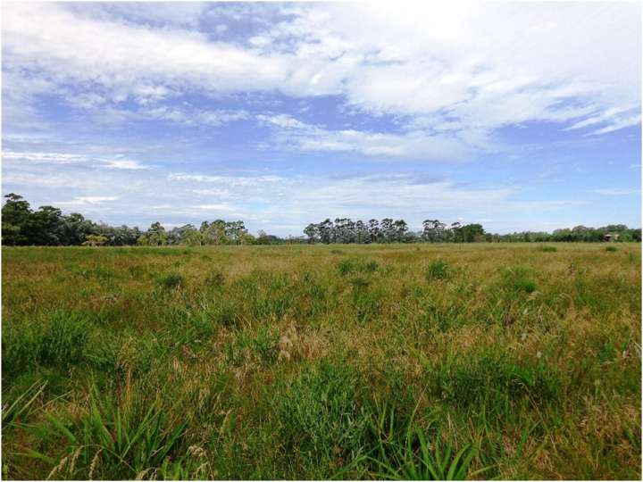 Granja en venta en El Tesoro