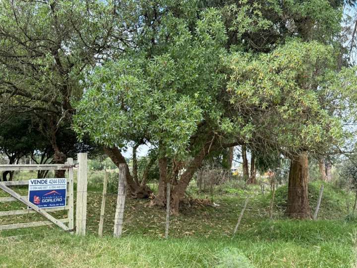 Granja en venta en Rocha