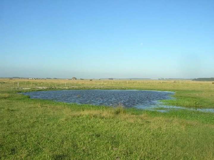 Granja en venta en Rocha