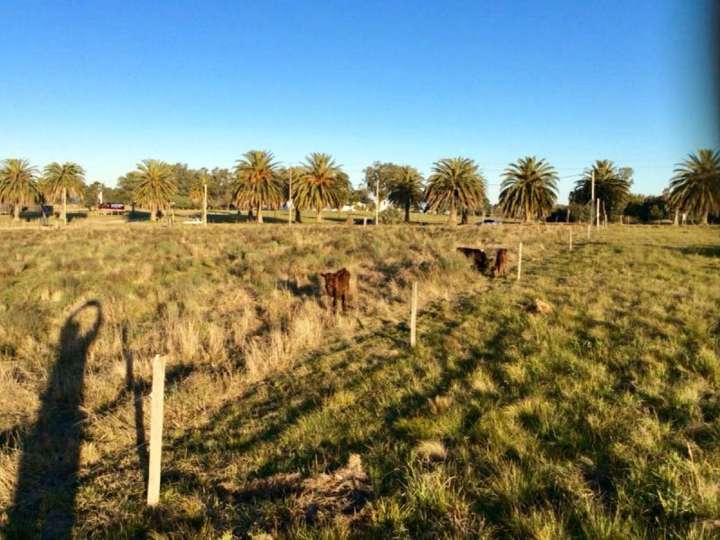 Granja en venta en Colonia