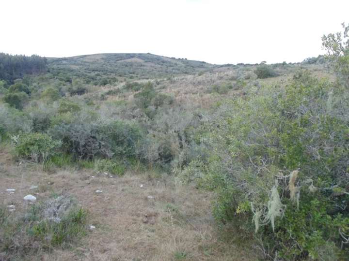 Granja en venta en Rocha